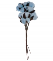 Изображение товара Хлопок сухоцвет голубой 16382 